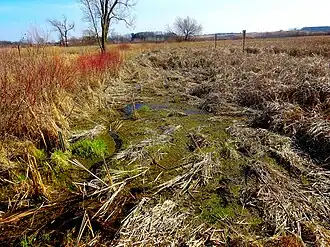 Capital Springs State Recreation Area