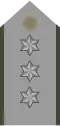 Capitan Ejército EB Pecho
