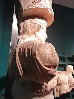 Posterior view.