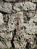 Detail of one of the fresco traces.