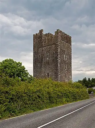 Glenquin Castle near Killeedy
