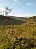 Near Hunmanby