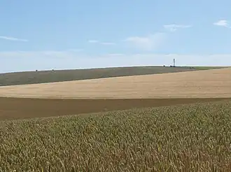 Newmarket Hill