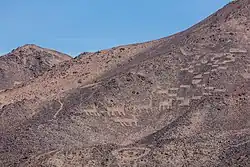 Cerros Pintados geoglyphs, Pampa del Tamarugal National Reserve