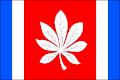 Flag of České Velenice
