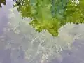 View from above