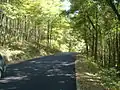 Road leading to the river landing