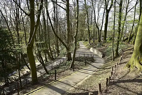 Winding paths