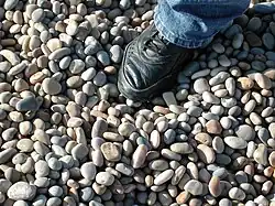 Large chert and flint shingle near the Portland (south-eastern) entrance to beach