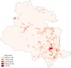 Asian-Chinese