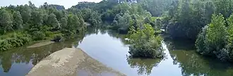 Photo shows a small river bordered by many trees.