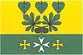 Flag of Chuderov