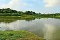 Mathabhanga divides into Churni and Ichhamati near Pabakhali, Majhdia of Nadia