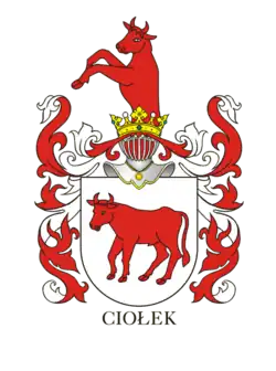 Ciolek
