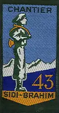 Insignia of CJF 43 (second model).
