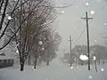Snowing in Clarinda (December 2009)