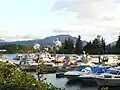 Clutesi Haven Marina in the tidal area of the Somass River