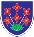 Coat of arms of Šalovci