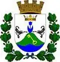 Coat of arms of Cerro