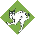 13th Combined Regiment
