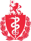 Surgeon General of the Norwegian Armed Forces Joint Medical Services