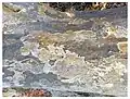 Seagrape tree bark