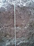 Colluvic Calcic Luvisol profile