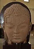 Jain colossal head, Gupta period