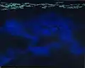 Composition in Night and Blue by Tom Liesegang