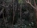 Part of the ruin
