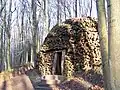 Coppice Cloud Chamber