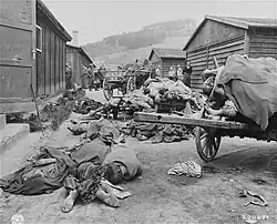 Corpses after liberation