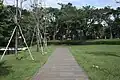 Pedestrian
