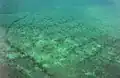 Cortaillod-Est, settlement remains
