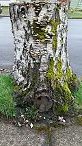 Fairy door in Corvallis, Oregon