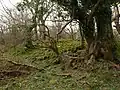 Dwelling site in Sorbie, Dowalton Loch.
