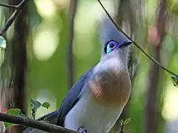 At San Diego Zoo