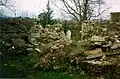 Church of St. George demolished (1993)
