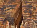 Navajo Sandstone