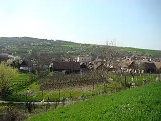 View of Cucerdea