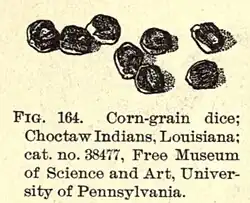 Corn kernel