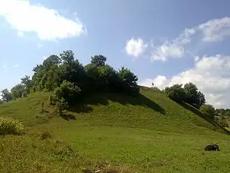 The cyclopean fort
