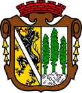 Coat of arms of Wallenfels