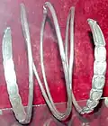 Dacian silver bracelet dated to the 1st century BC; Museum of Transylvania Cluj-Napoca.[164]