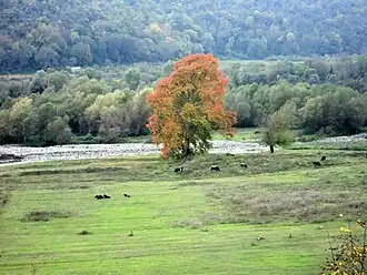 Scenery around Dahraz