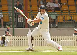 David Warner in November 2011