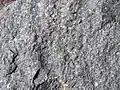 Ignimbrite from Tuggeranong Hill