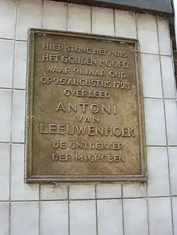 Het Gouden Hoofd (Hippolytusbuurt 1–3, Delft)[78]