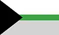 Demiromantic flag