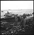 Debris on the beach